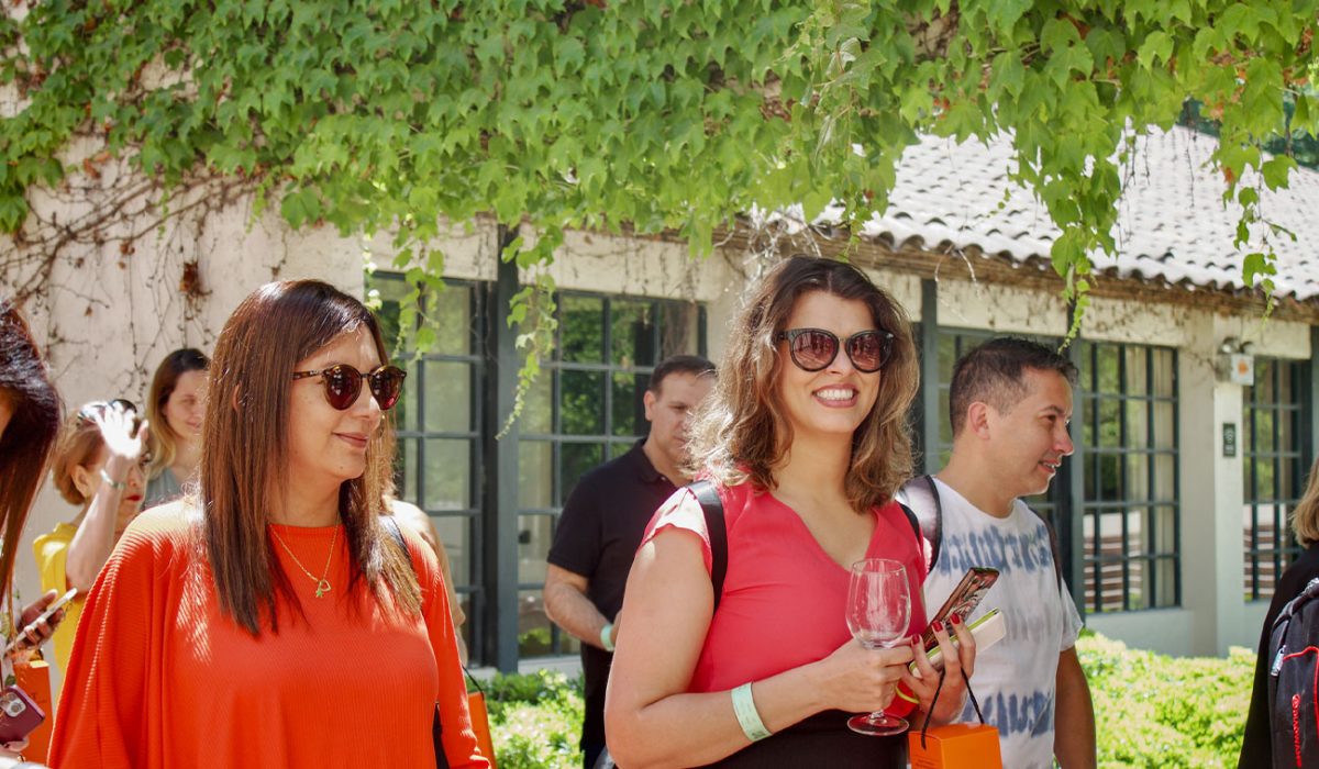 VINA-CONCHA-Y-TORO-11