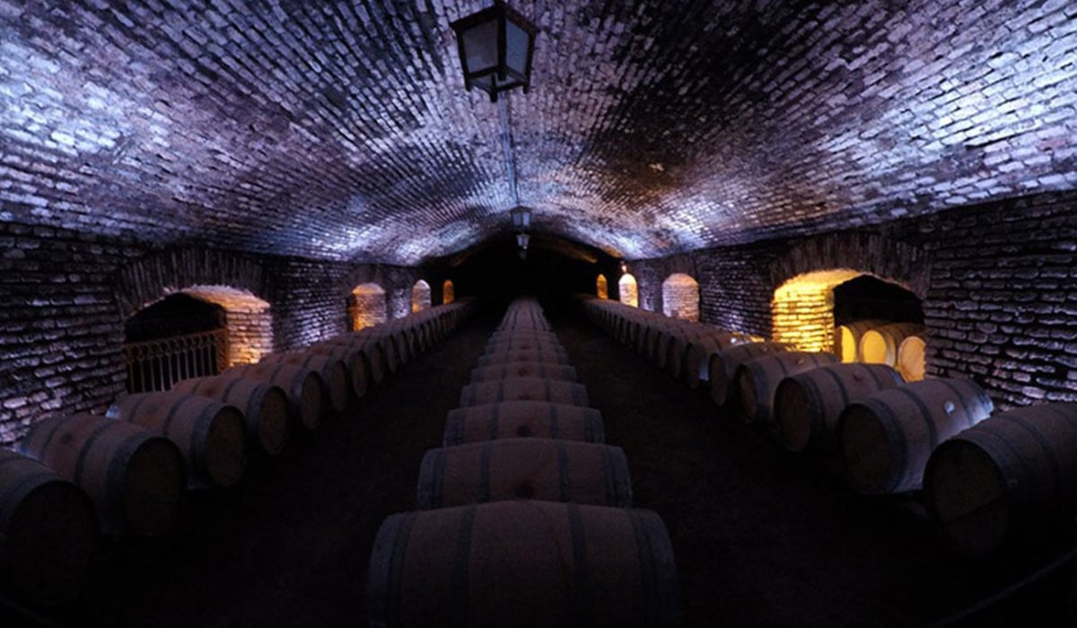 VINA-CONCHA-Y-TORO-14