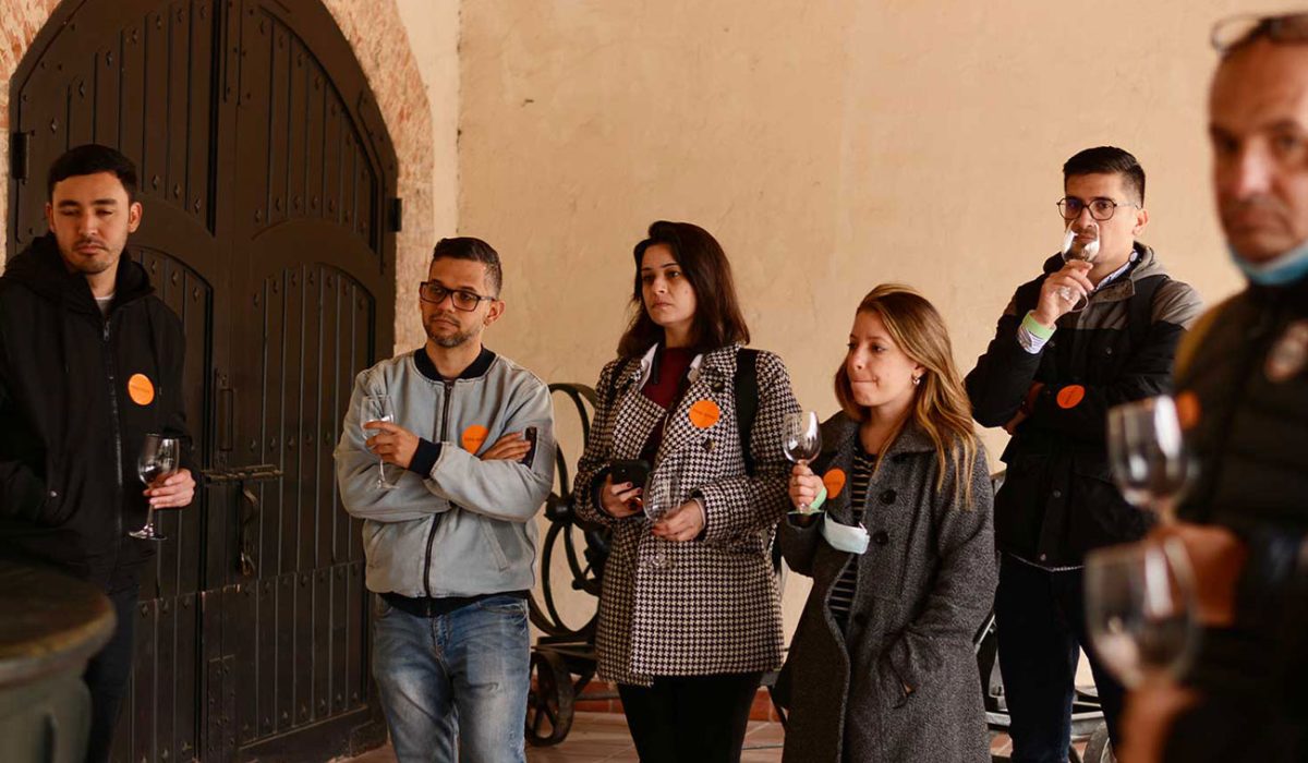 VINA-CONCHA-Y-TORO-18