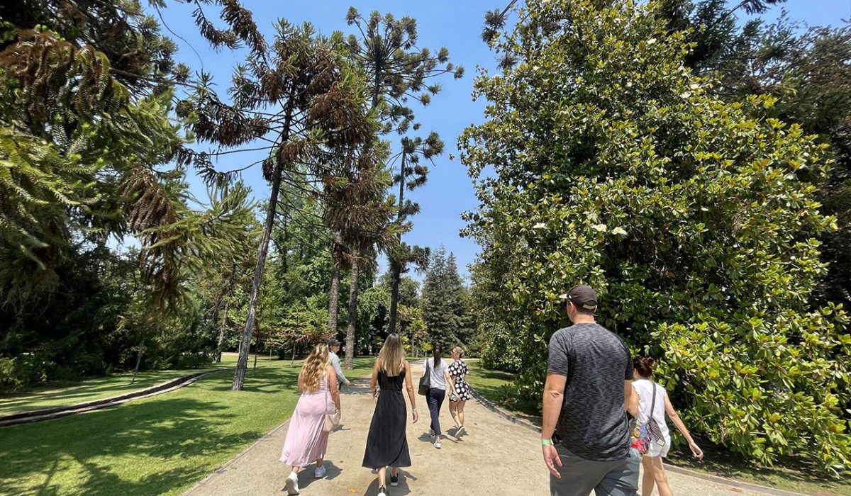 VINA-CONCHA-Y-TORO-3-1