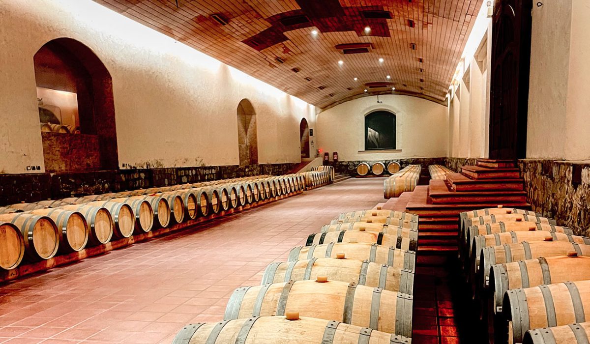 VINA-CONCHA-Y-TORO-7-1