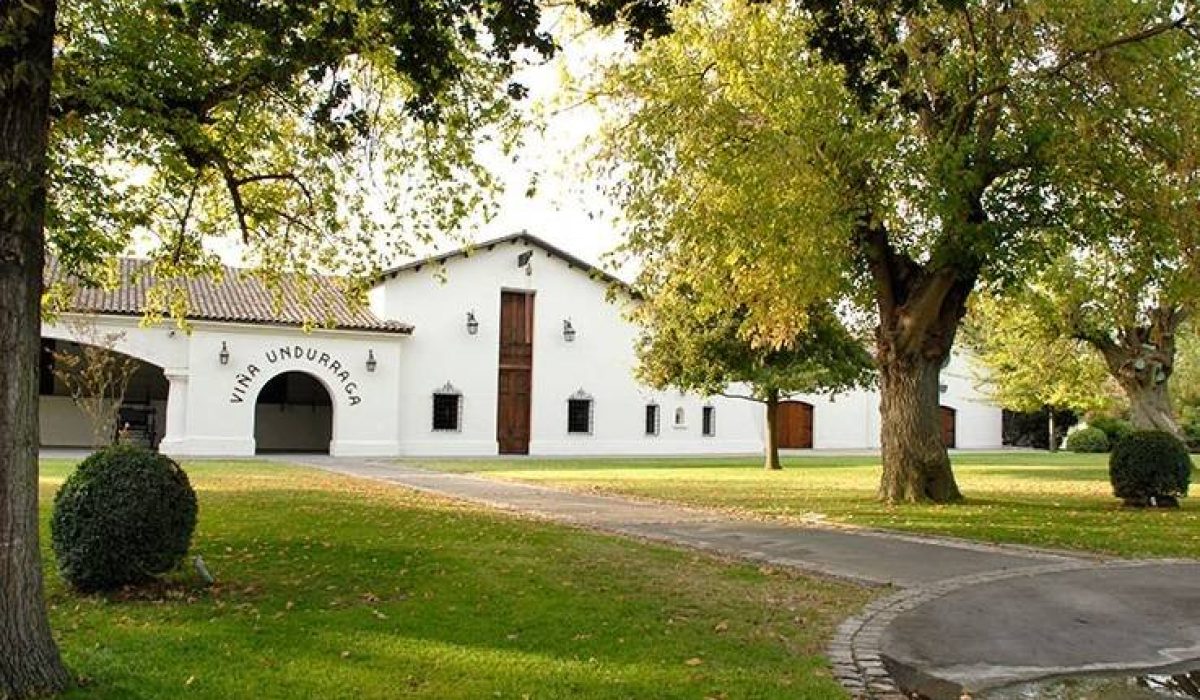 matrimonio-vina-undurraga-2_8_70121